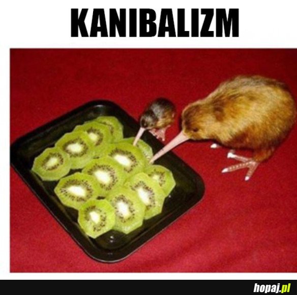 KANIBALIZM