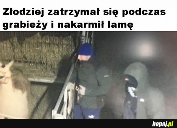 Złodziej