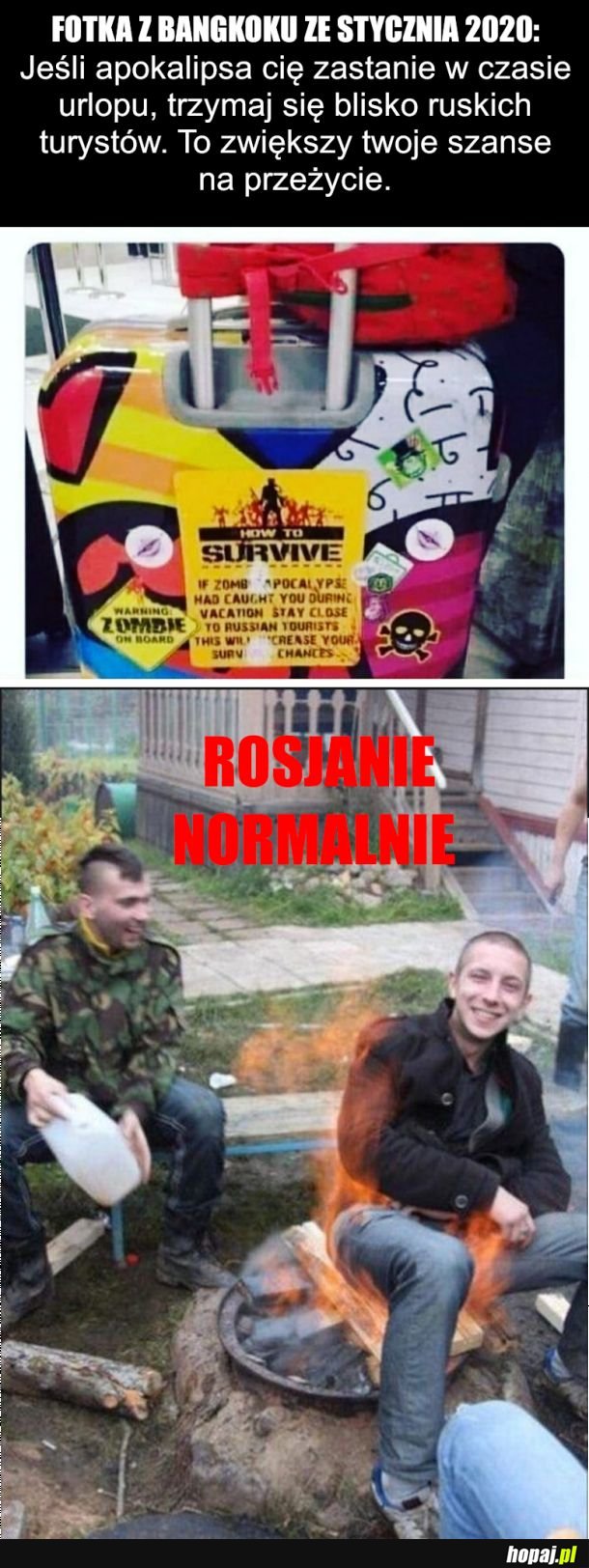 Zahartowani, w bagnie od zawsze
