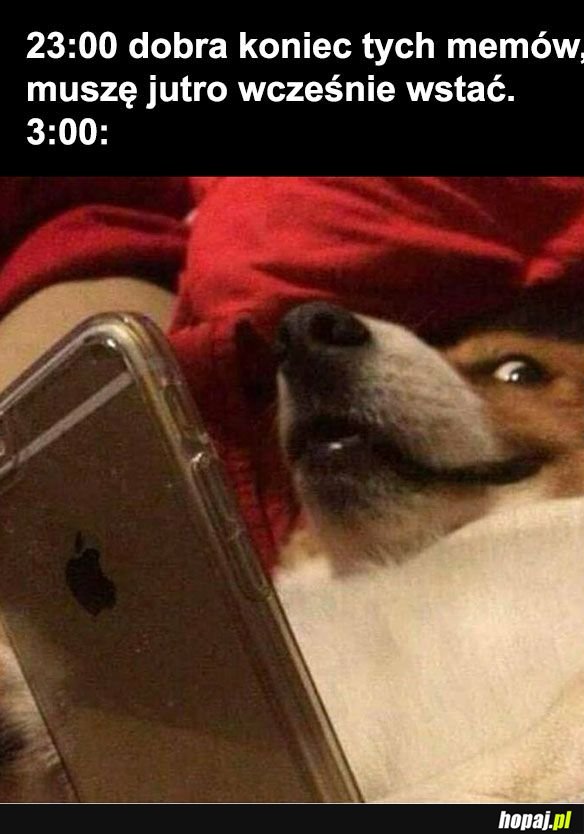 I tak codziennie