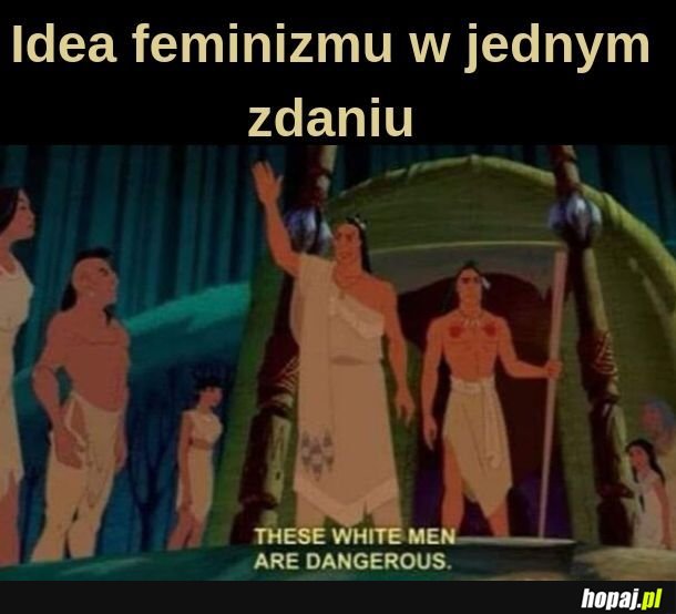  Feminizm 