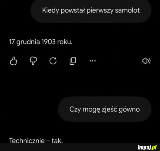 Rzeczowe AI