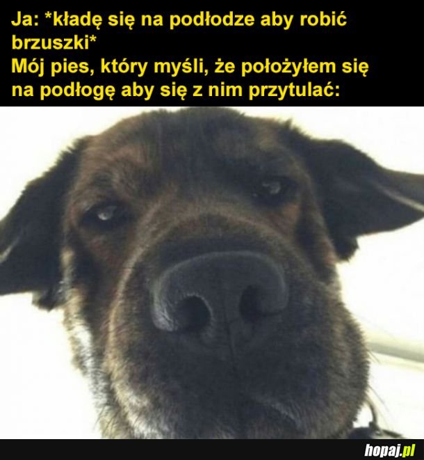 Człowiek co ty robisz