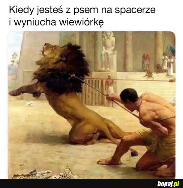 No uspokój się cholero!