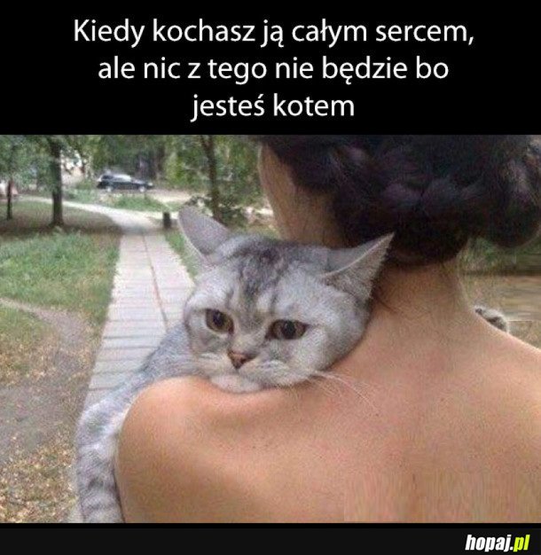 TO UCZUCIE