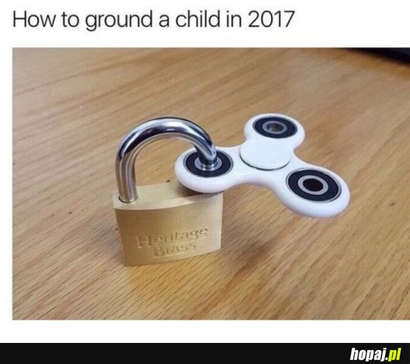 FINGER SPINNER