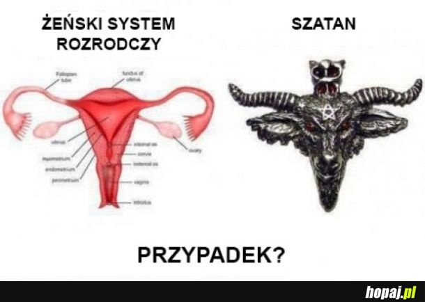 Przypadek
