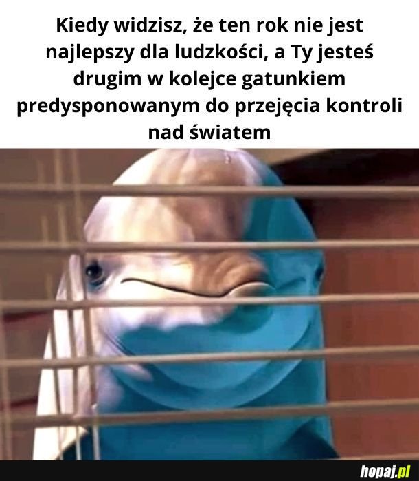 #teamdelfin