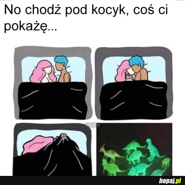 No zobacz