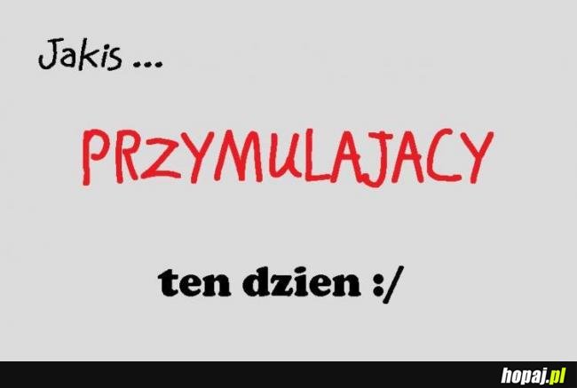 Przymulający dzień