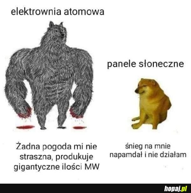 Porównanie