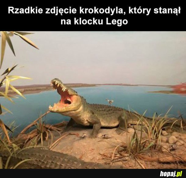 PRZYRODA JEST PIĘKNA