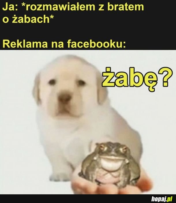 Żabę?