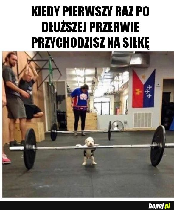 Siłka