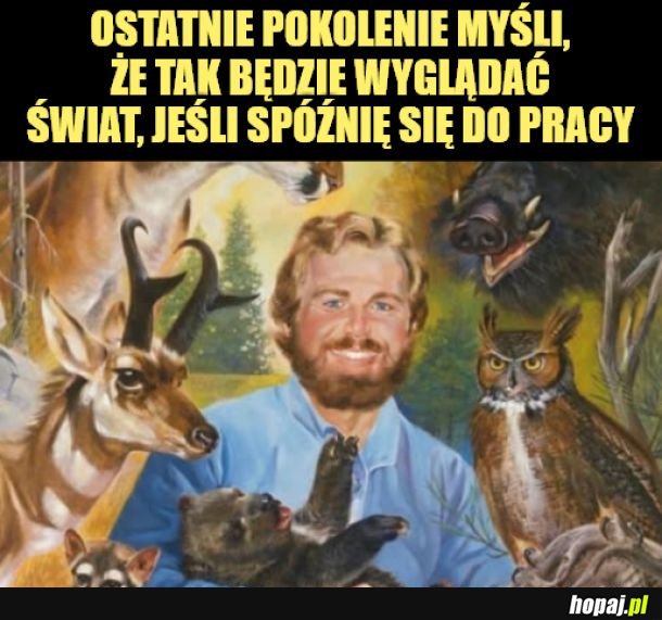 Pokolenie