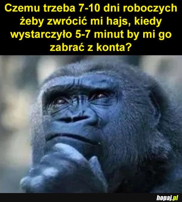Płacenie w internecie