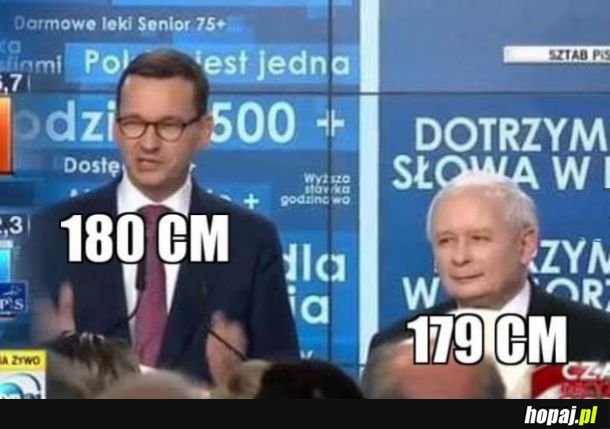 Logika lasek