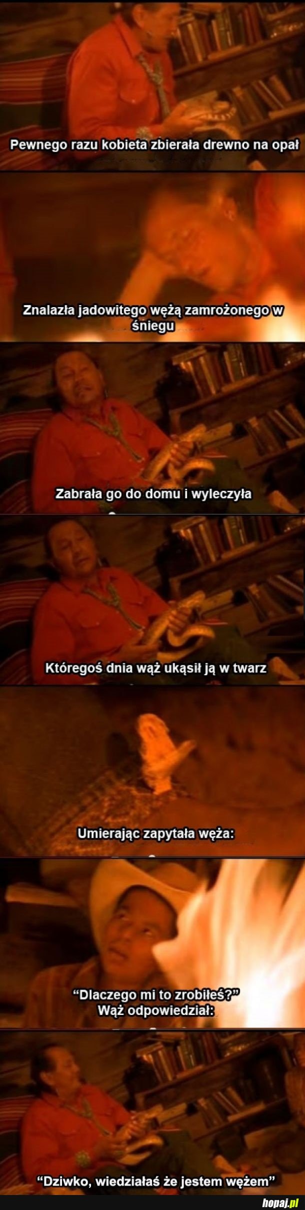 Wzruszająca historia