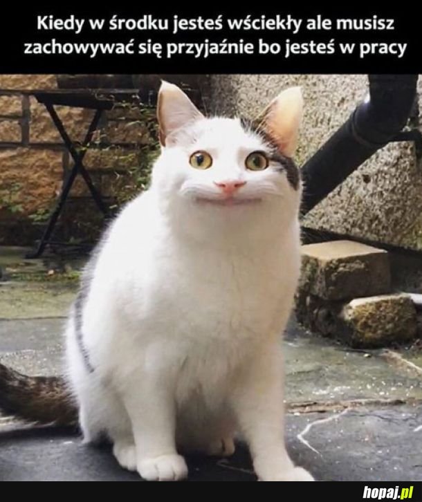 Powinni dawać za to premię