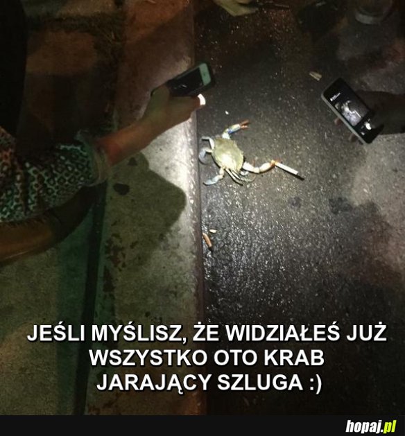 Przypał