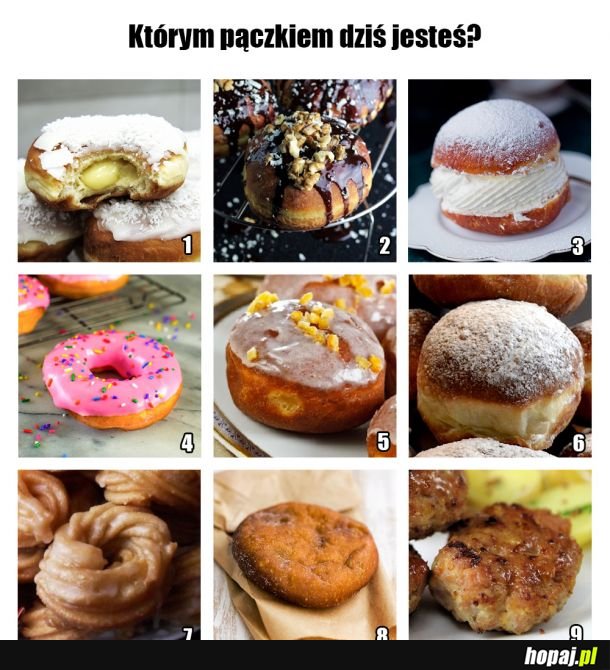 Którym pączkiem dzisiaj jesteś? 