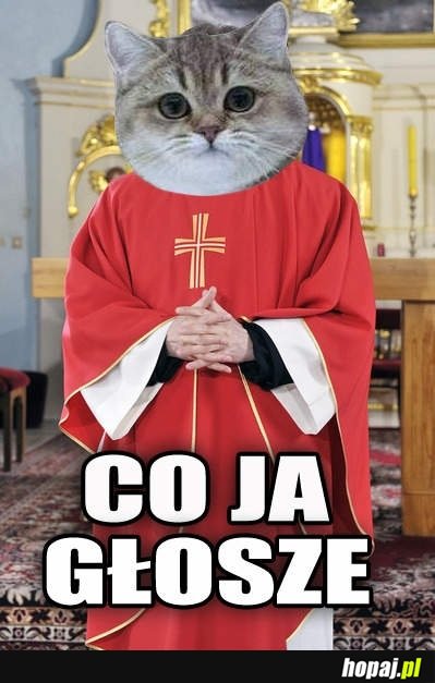 Co ja głosze?