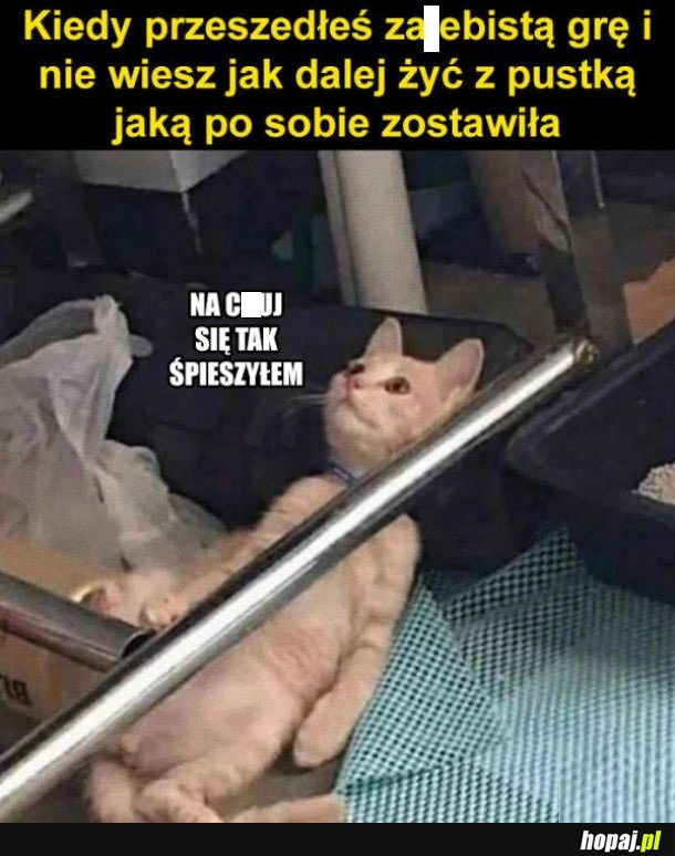 Po co teraz żyć