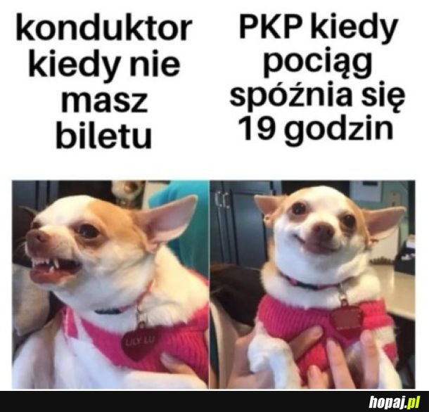 Konduktor