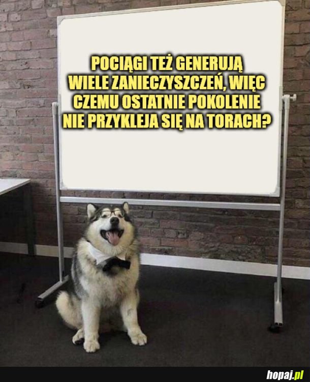 Pociągi. 