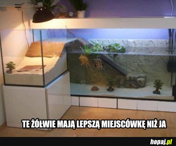 NIESPRAWIEDLIWOŚĆ