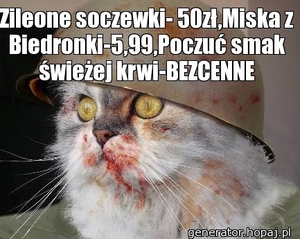 Zileone soczewki- 50zł,Miska z Biedronki-5,99,Poczuć smak świeżej krwi-BEZCENNE