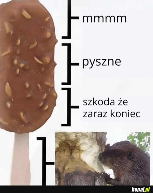 Omnoomnom