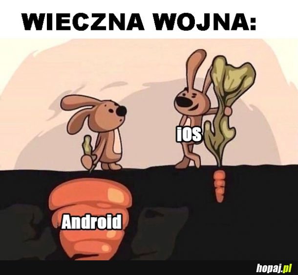 Wojna
