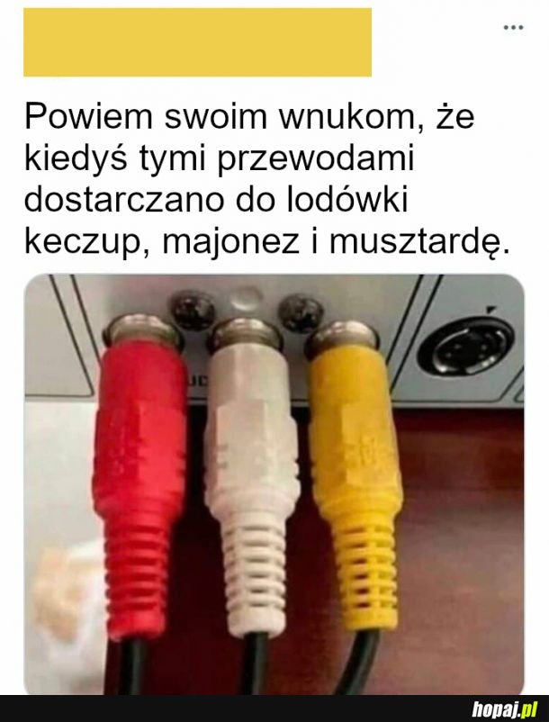 W tych przewodach płynie keczup, majonez i musztarda xD