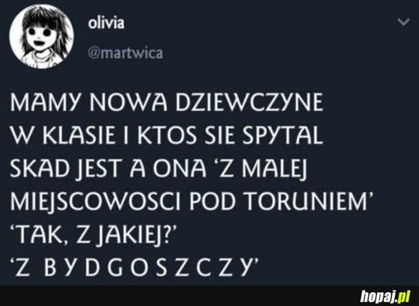 Wieś pod Toruniem