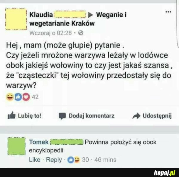 WEGANIE I WEGETARIANIE