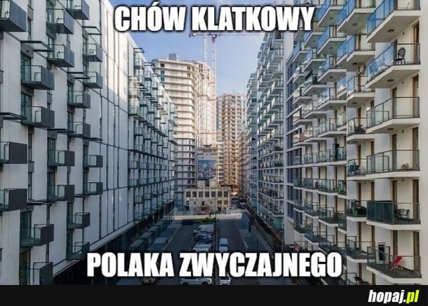 Chów klatkowy