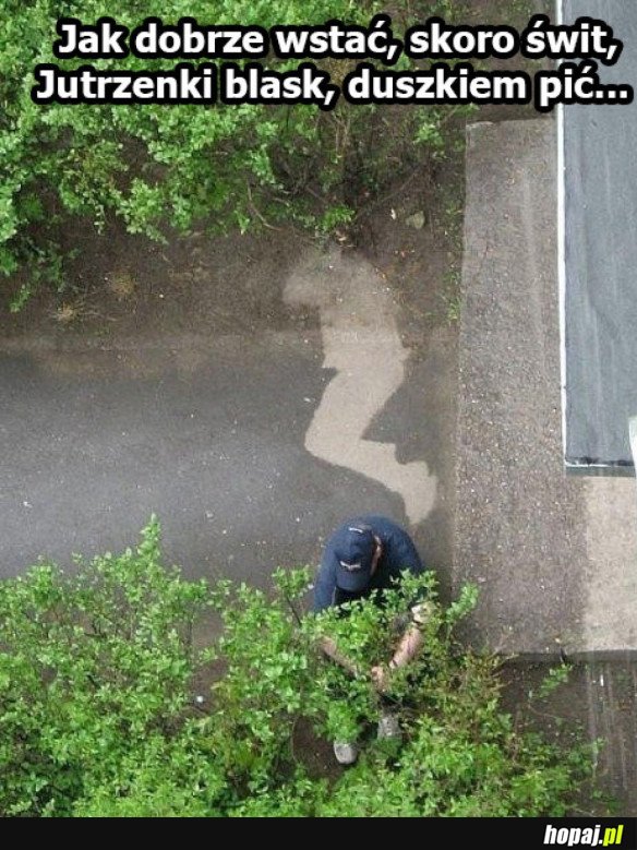 Dzień dobry