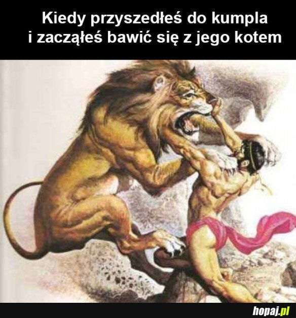 MNIEJ WIĘCEJ TAK TO WYGLĄDA