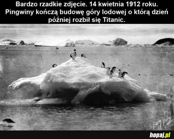 Tak było