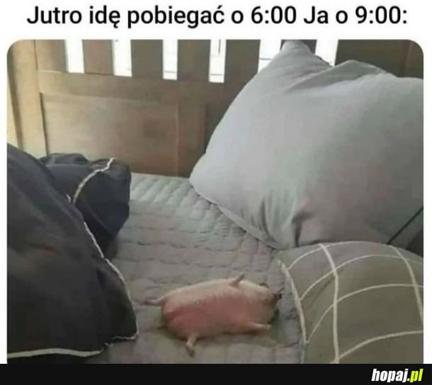 Moje plany