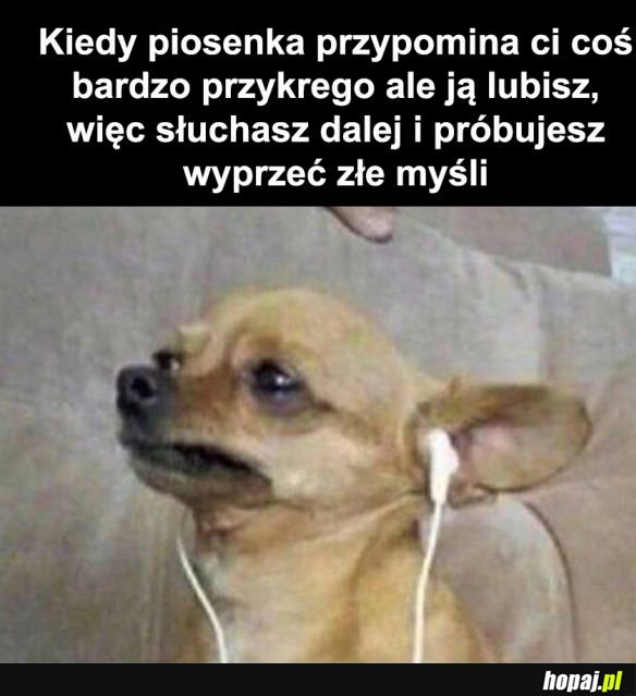 Dam radę