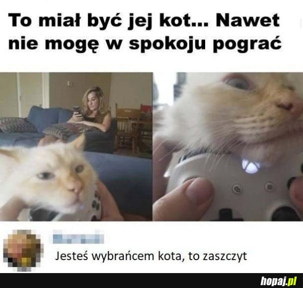 Prawdziwy zaszczyt