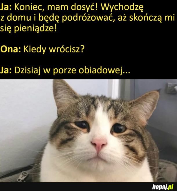 Zucam wszystko i będę podróżować