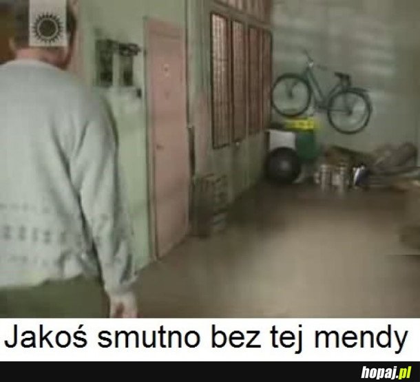 TYLKO MENDY ŻAL