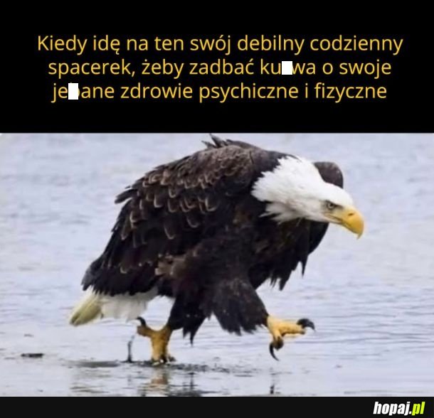 Tak dla odprężenia