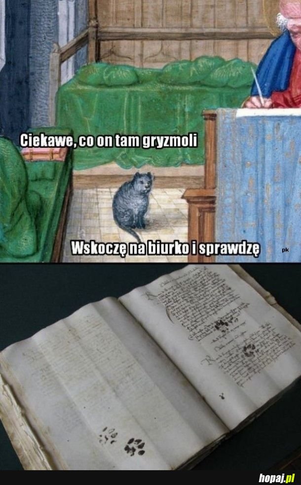 Kontrola