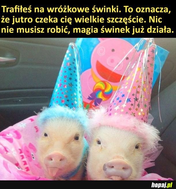 No i jutro będzie git xdd