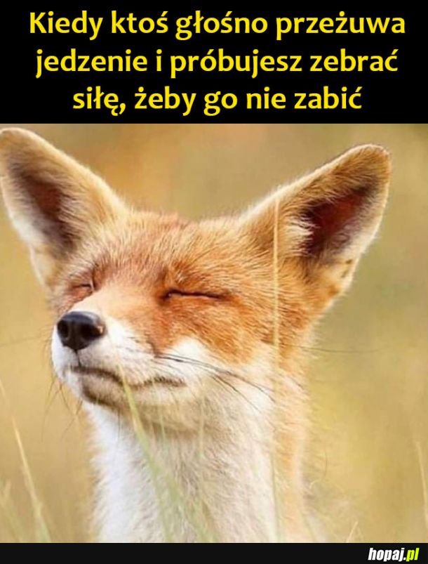 Za głośno