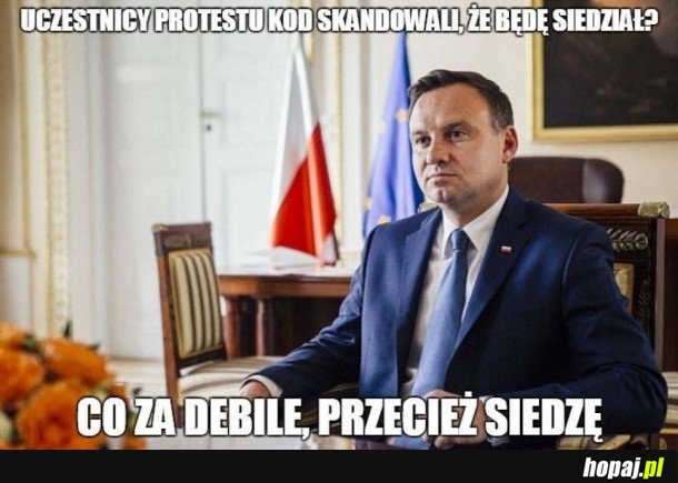 CHYBA ZGŁUPIELI